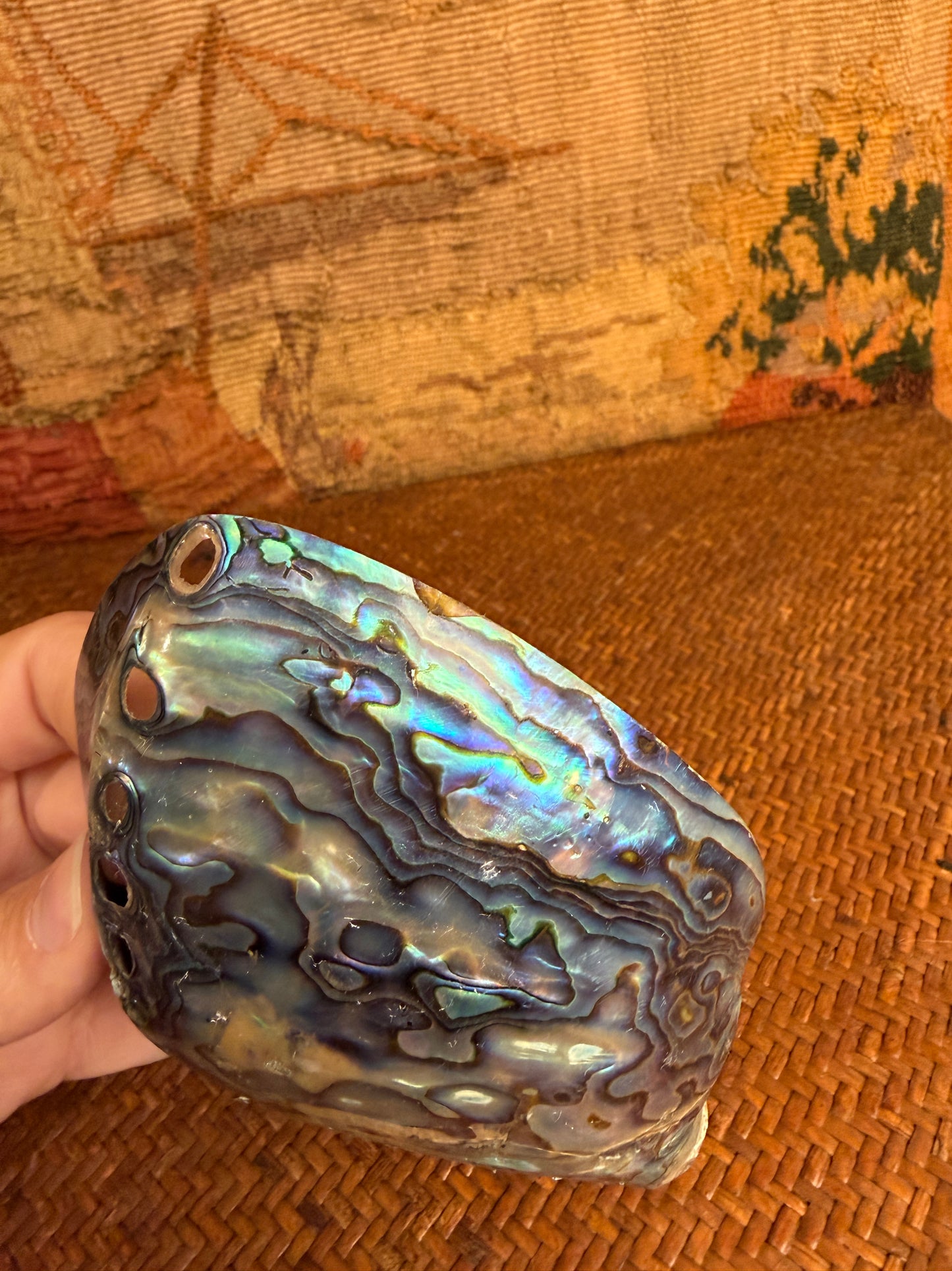 Vintage Polished Paua Shell