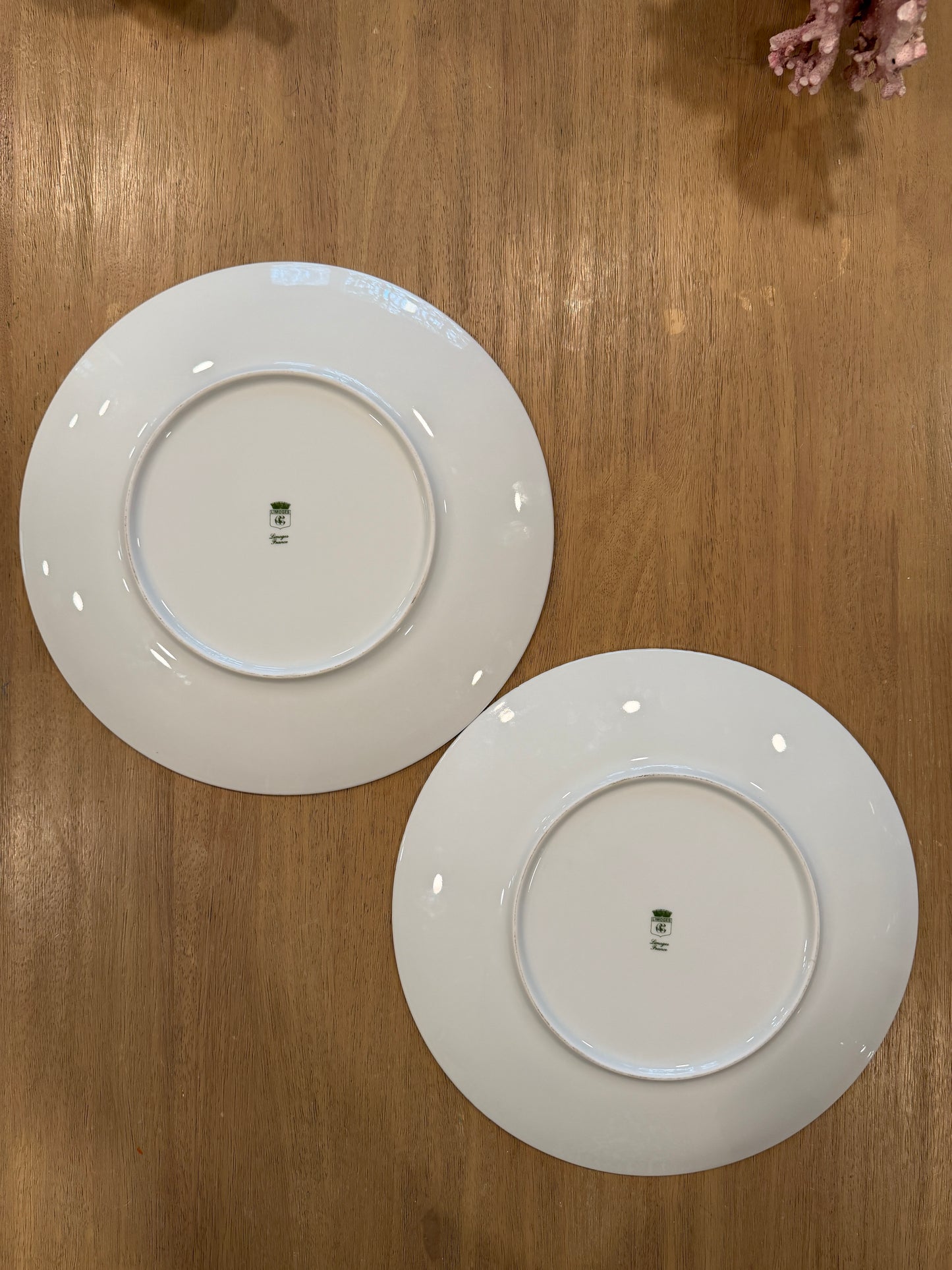 Pair of Vintage Limoges France Blue Wave Porcelain Dinner Plates