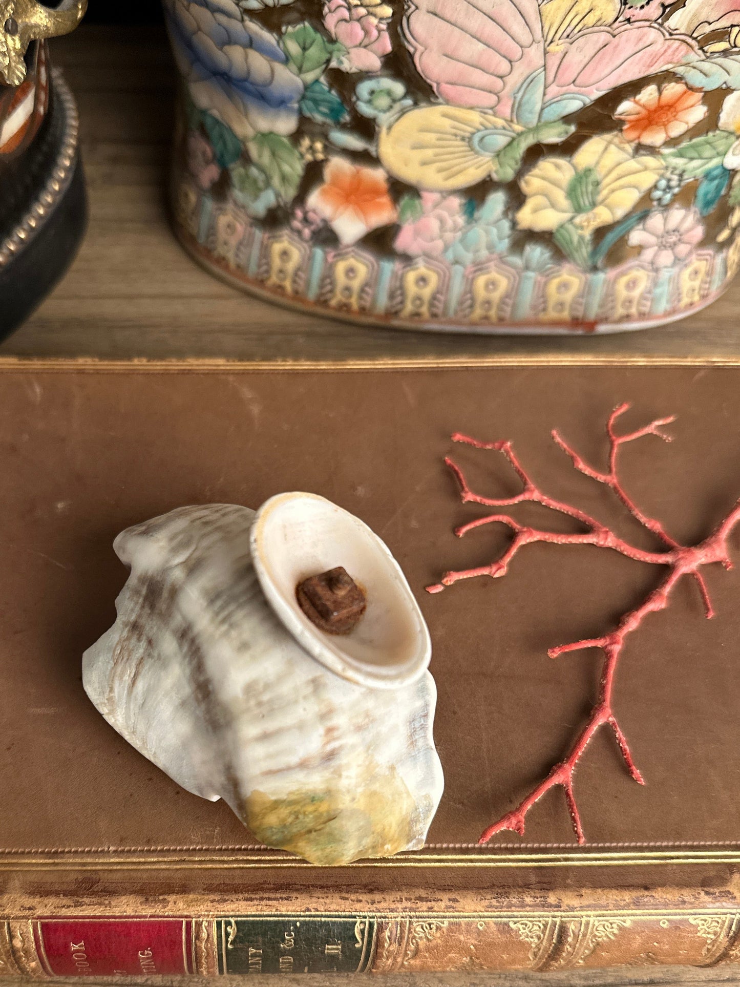 Carved Turbo Shell Pedestal Dish