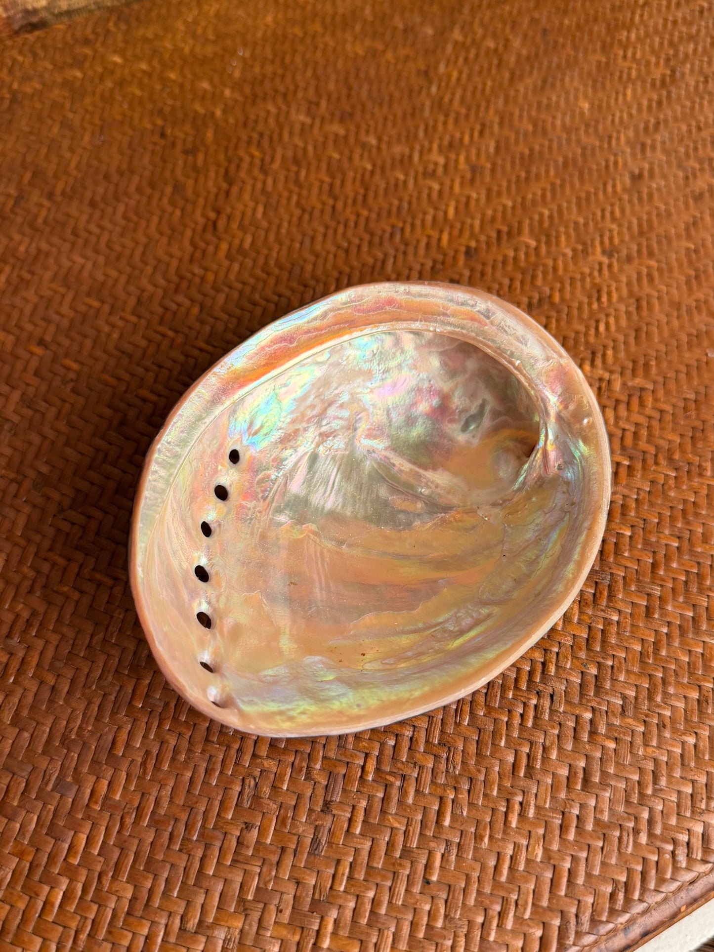Vintage Black Abalone Shell