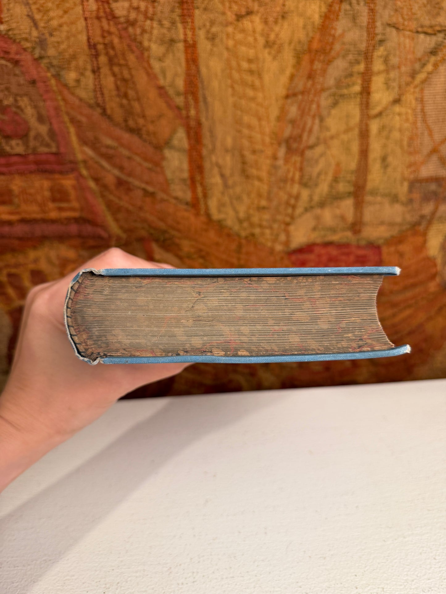 Lives of Grover Cleveland and Stevenson Official Edition 1892