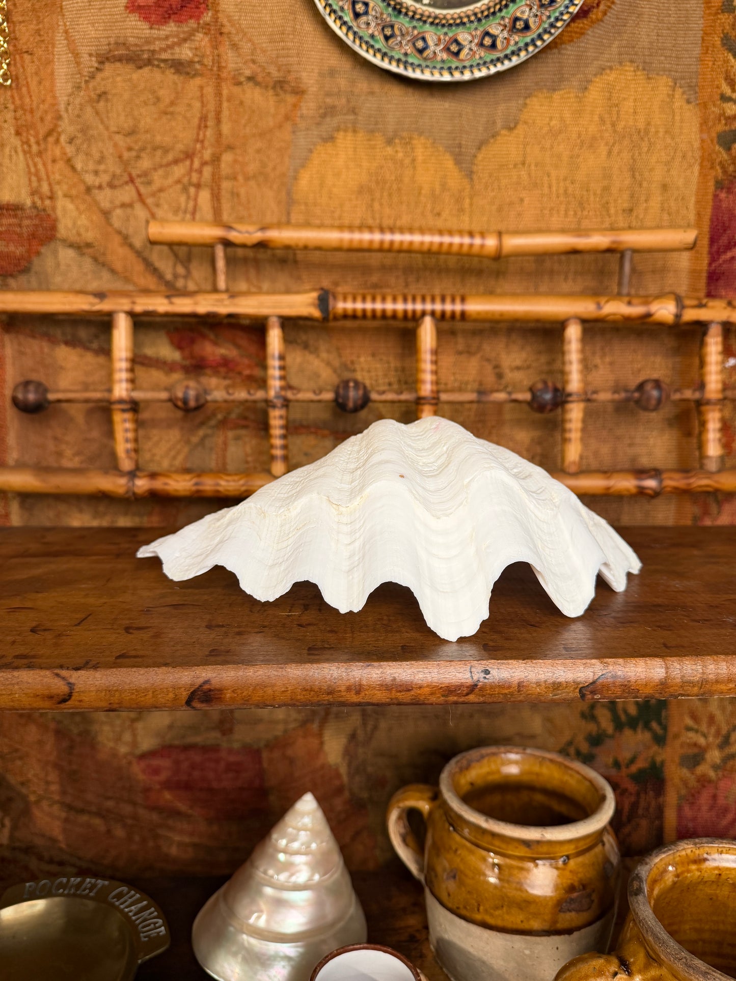 Clam Shell