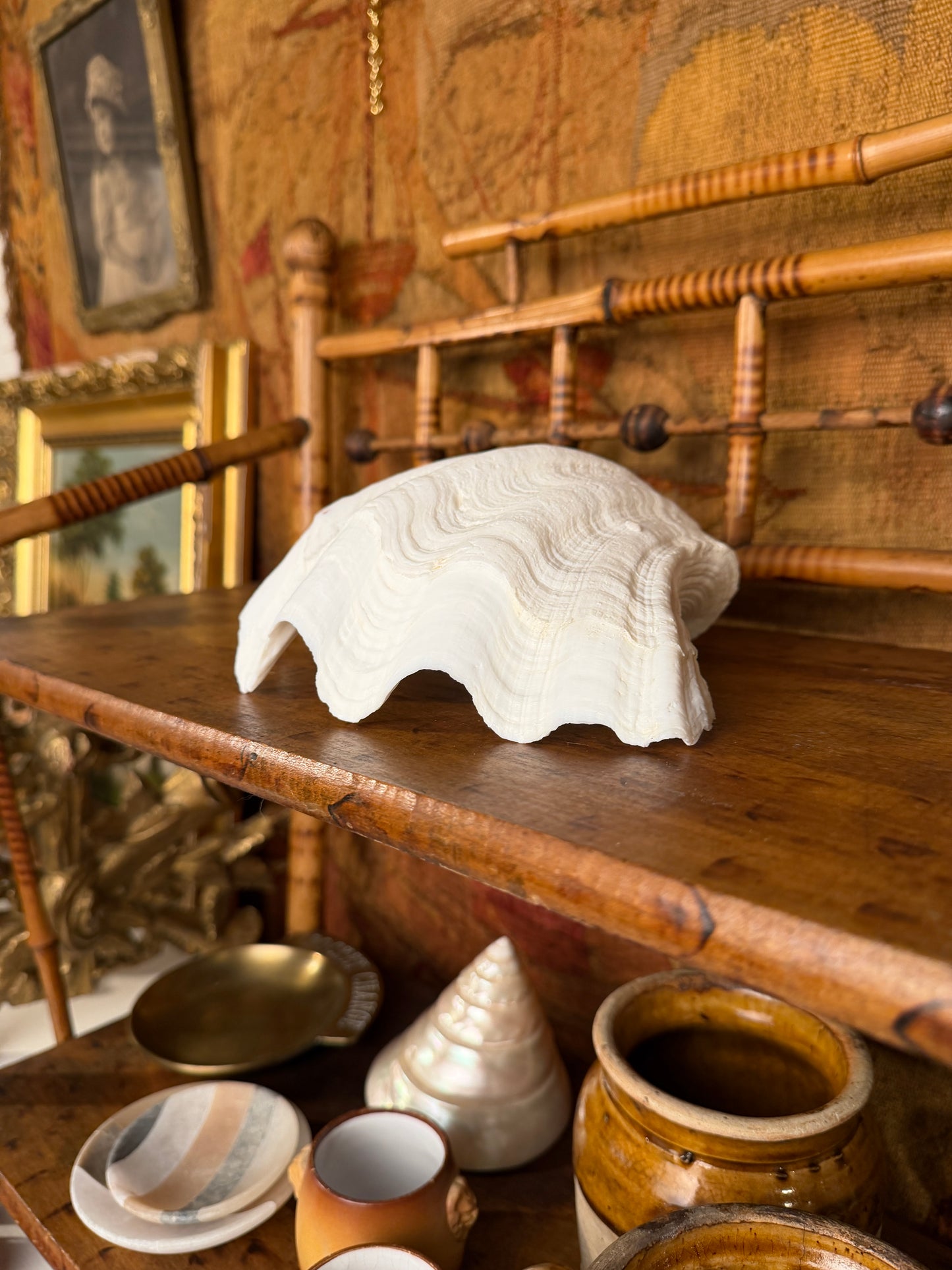 Clam Shell