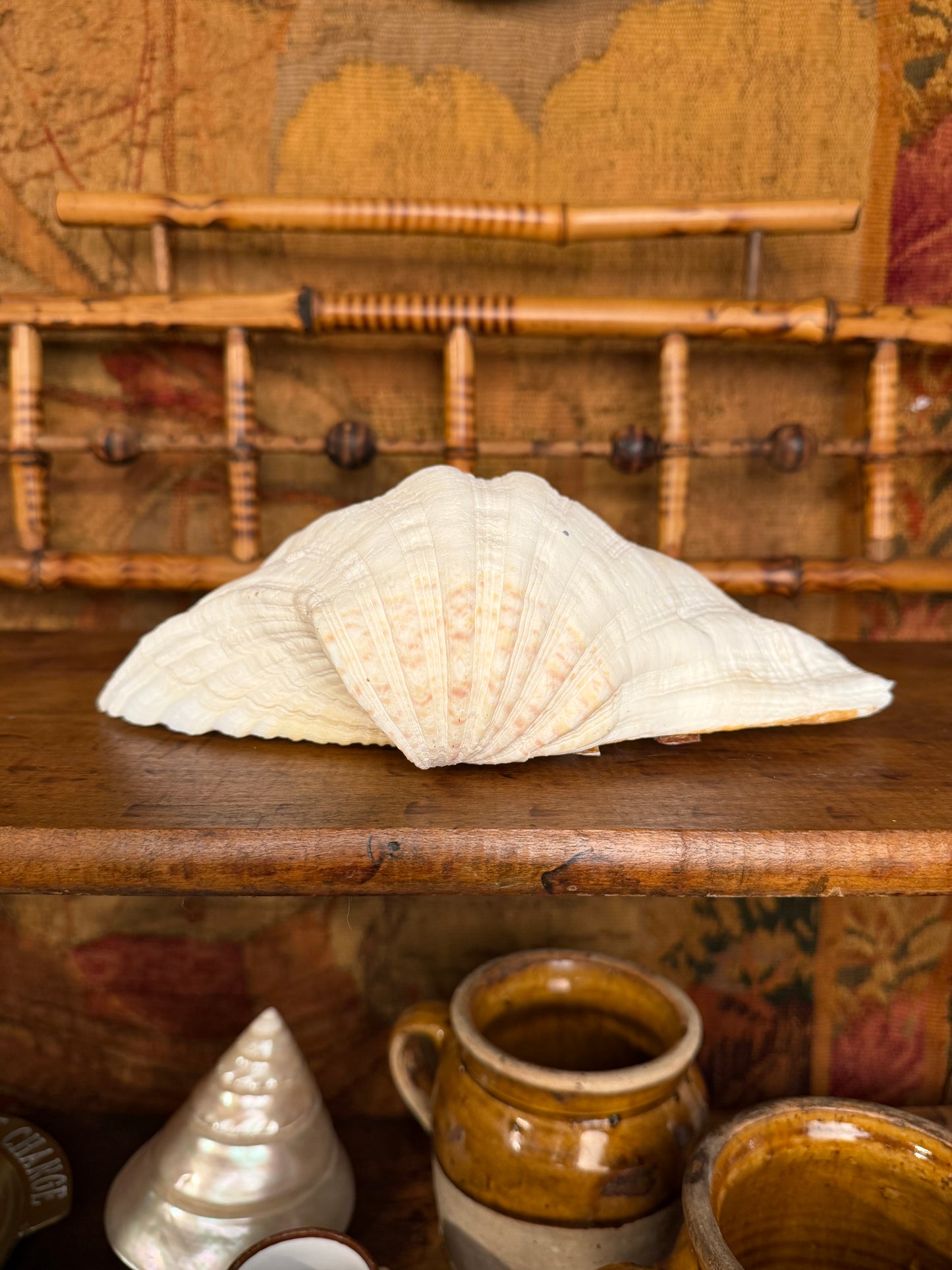 Clam Shell