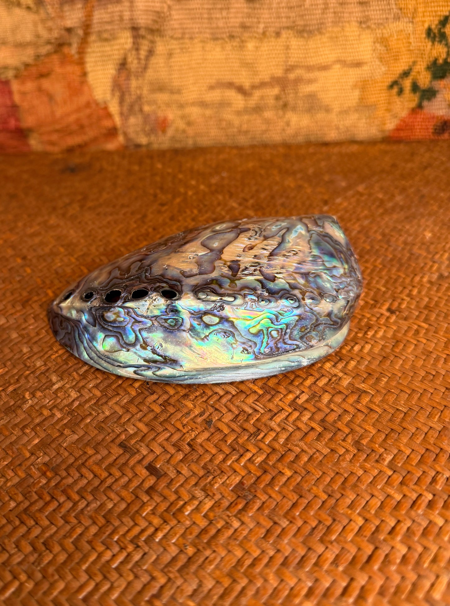 Vintage Polished Paua Shell