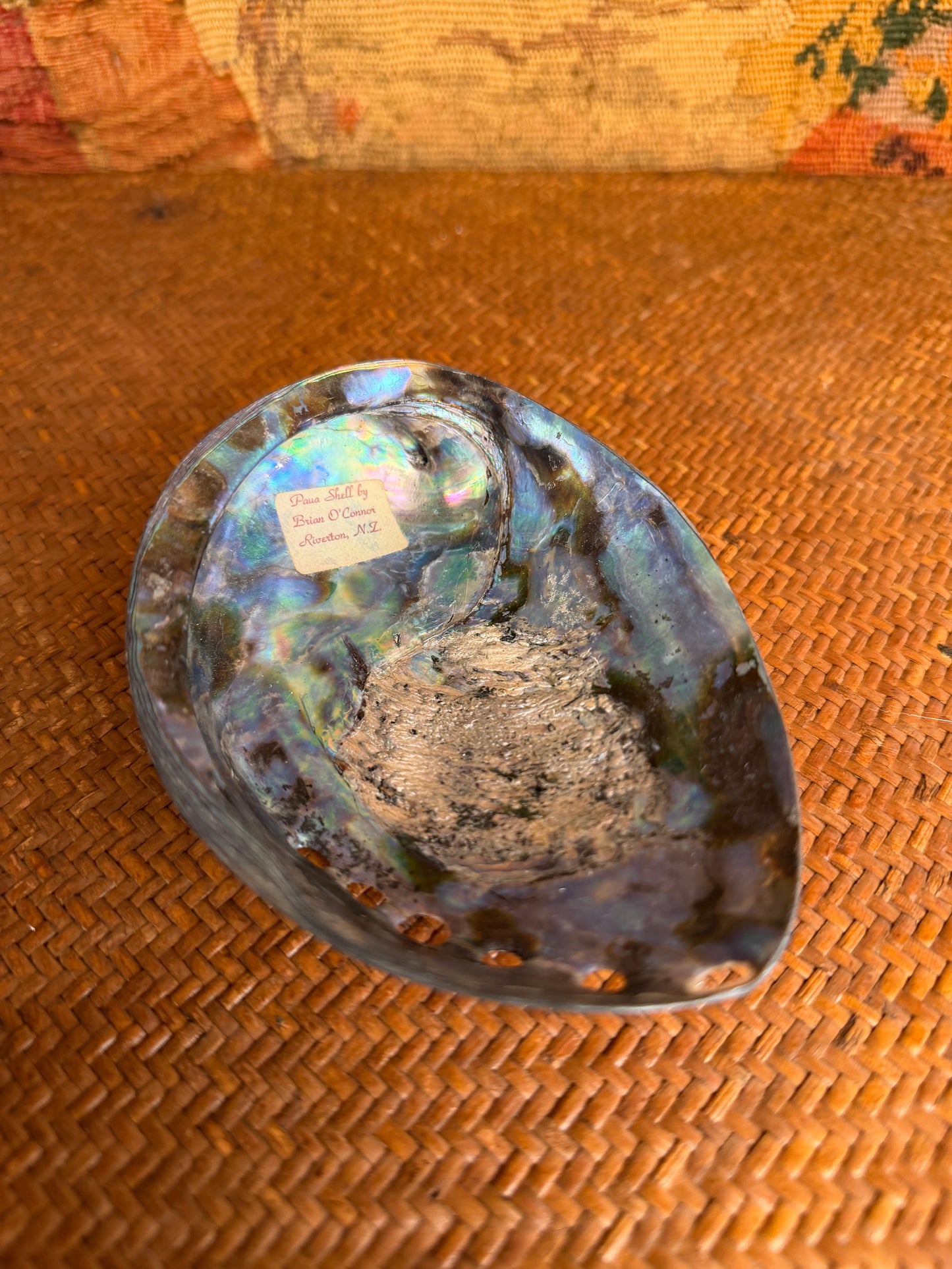 Vintage Polished Paua Shell