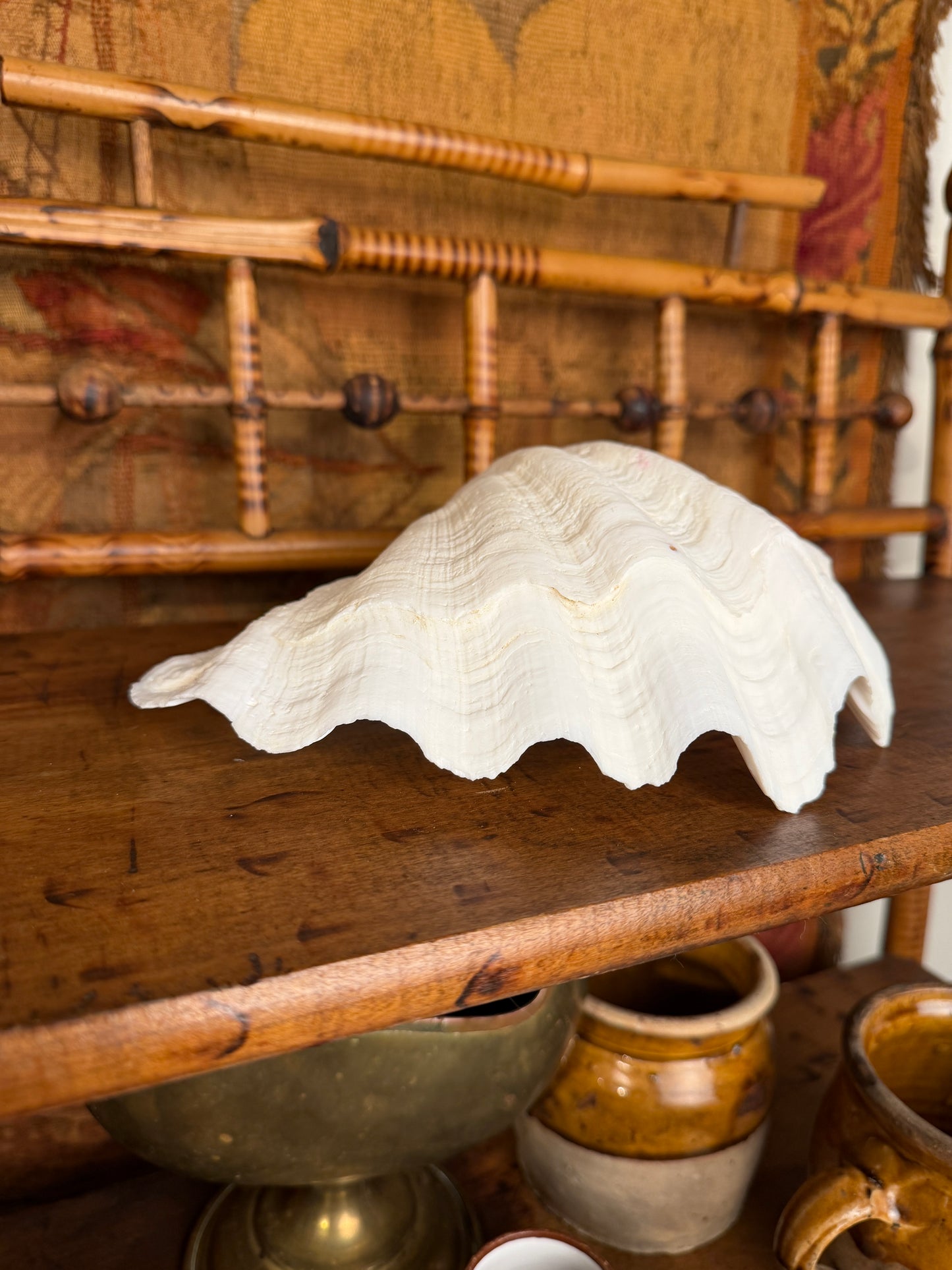 Clam Shell