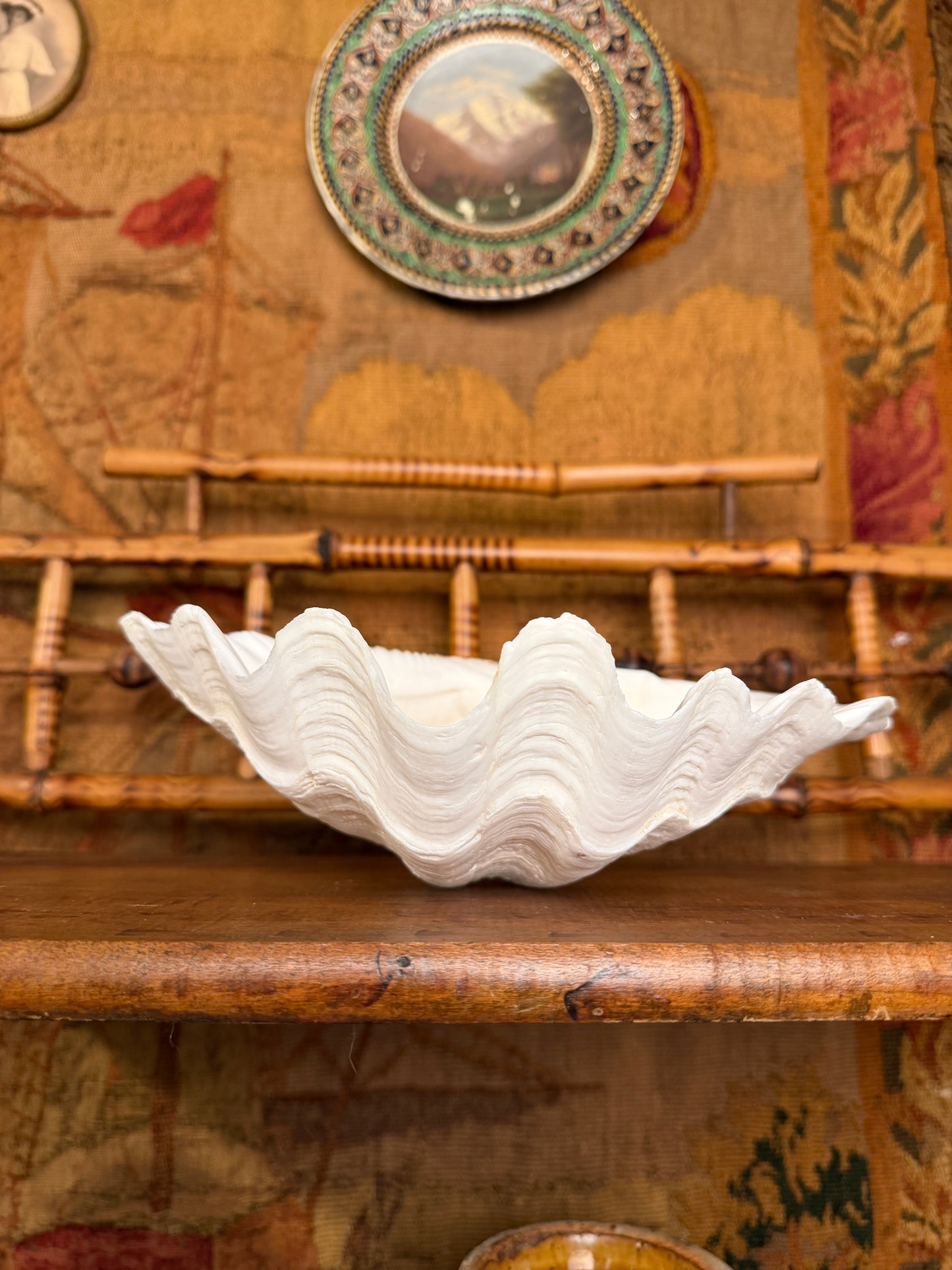 Clam Shell