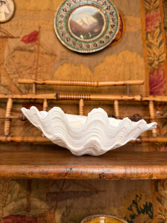 Clam Shell