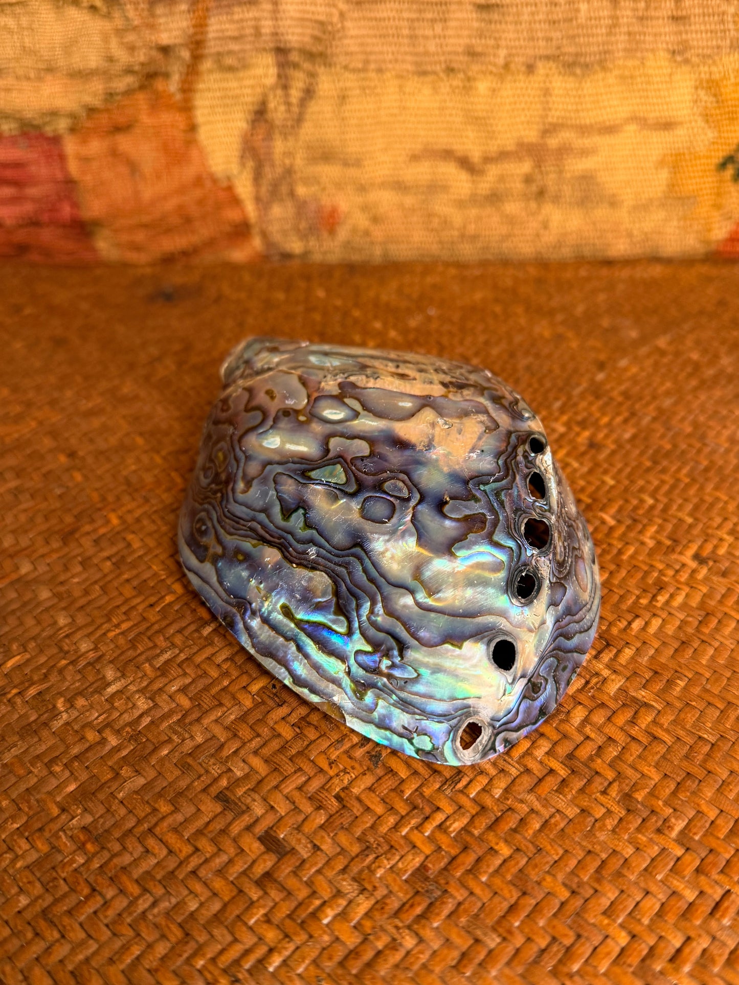 Vintage Polished Paua Shell