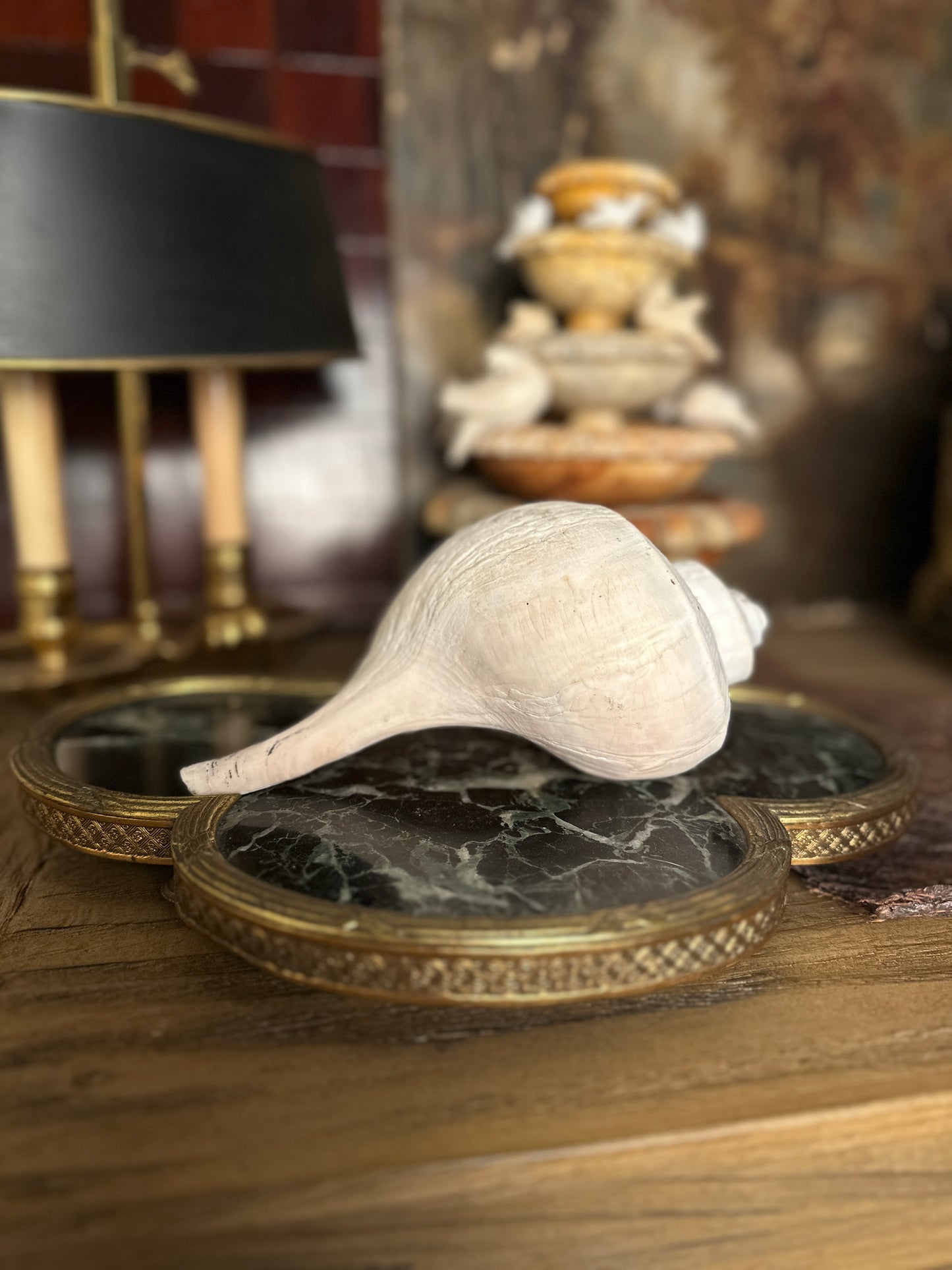 Natural Conch Shell