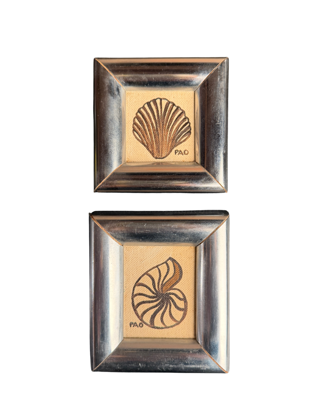 Shell Paintings Set of 2