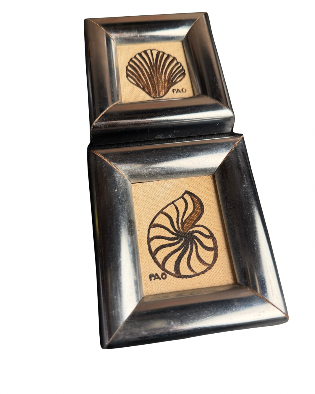 Shell Paintings Set of 2