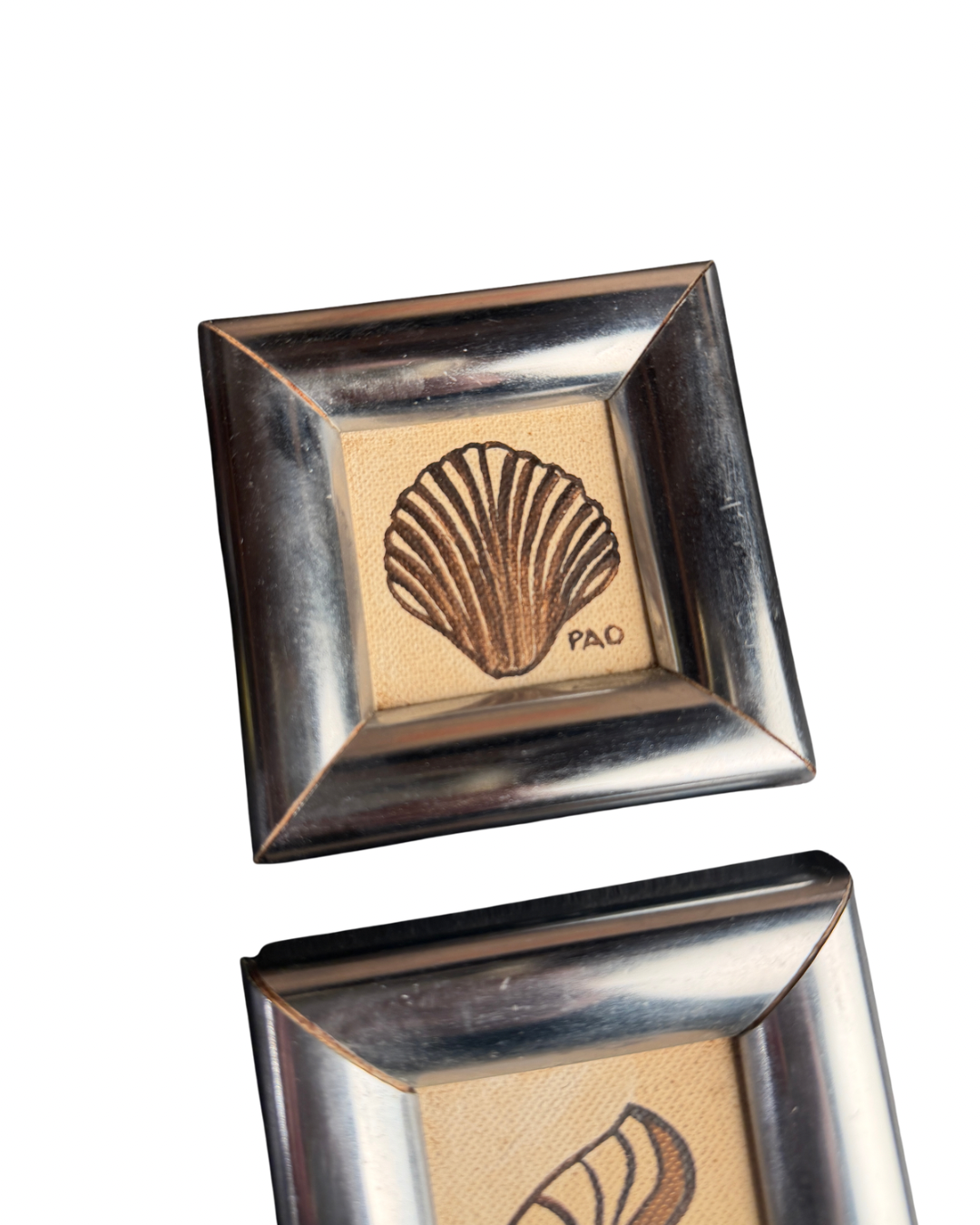 Shell Paintings Set of 2
