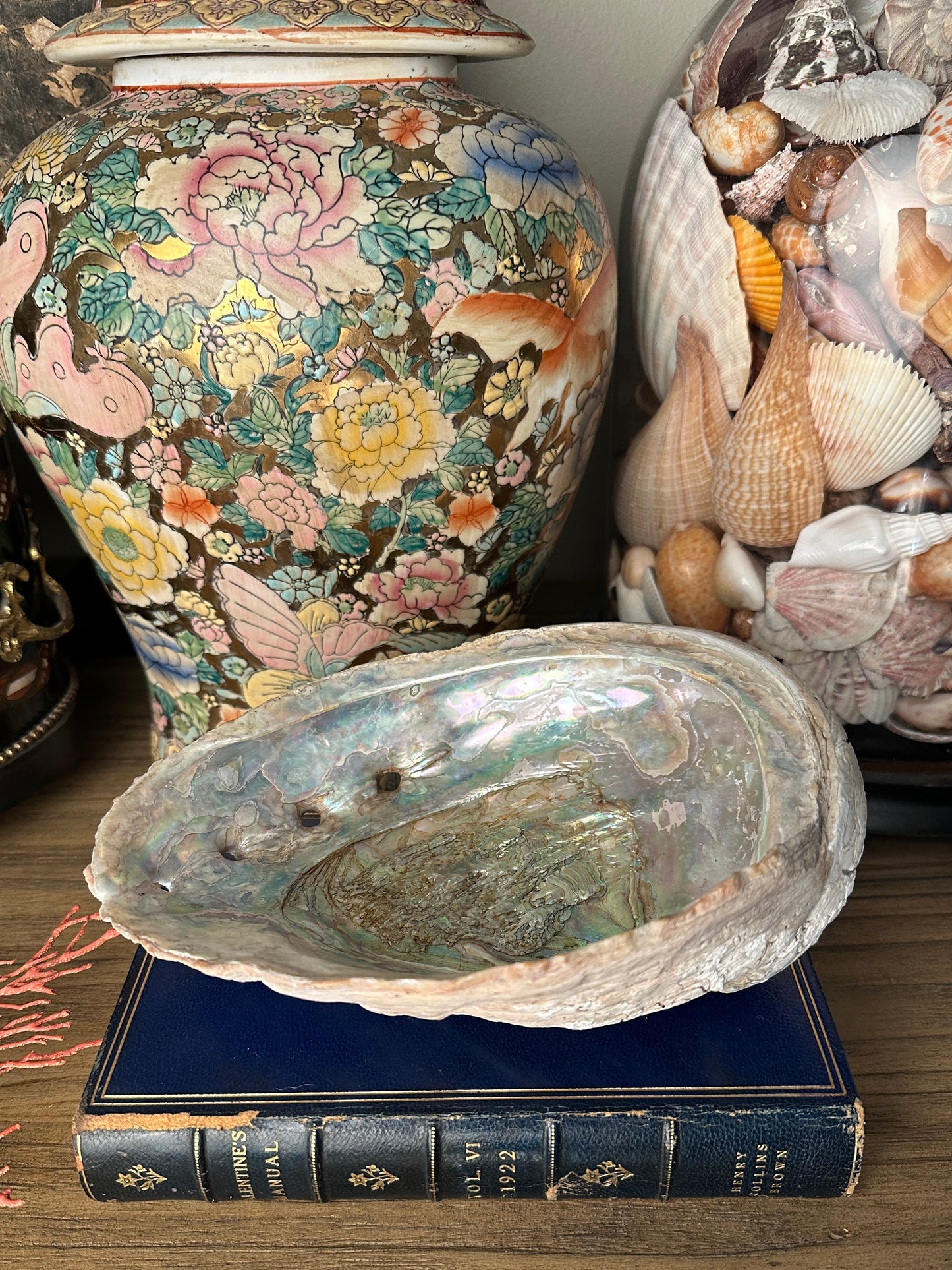Vintage Abalone Shell