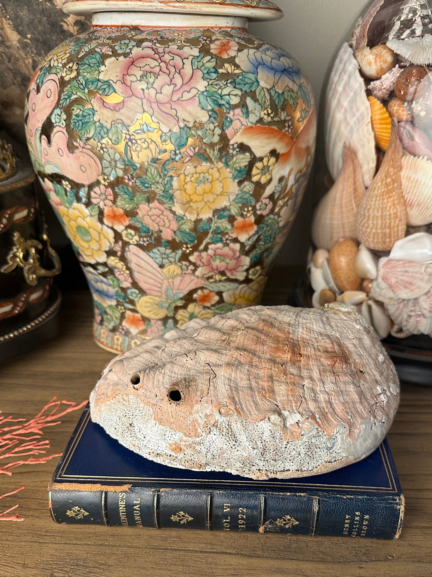 Vintage Abalone Shell