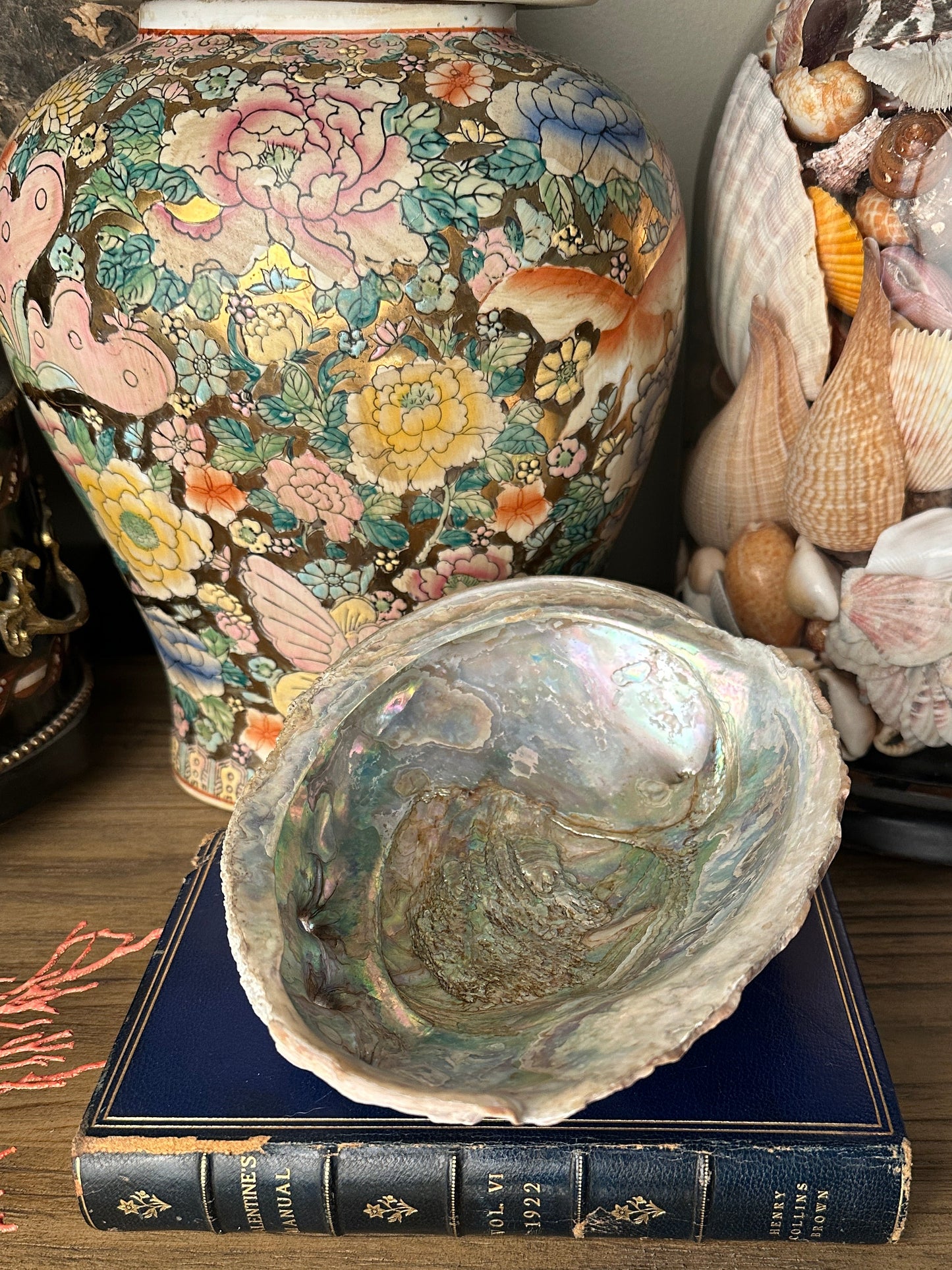 Vintage Abalone Shell