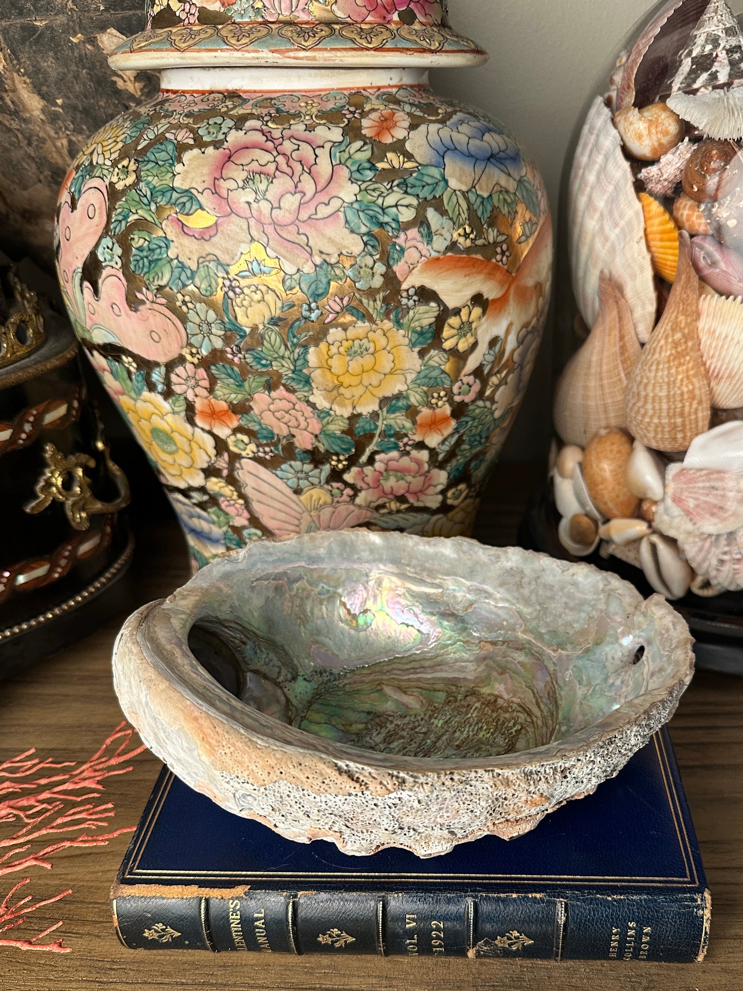 Vintage Abalone Shell