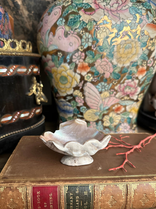 Carved Turbo Shell Pedestal Dish